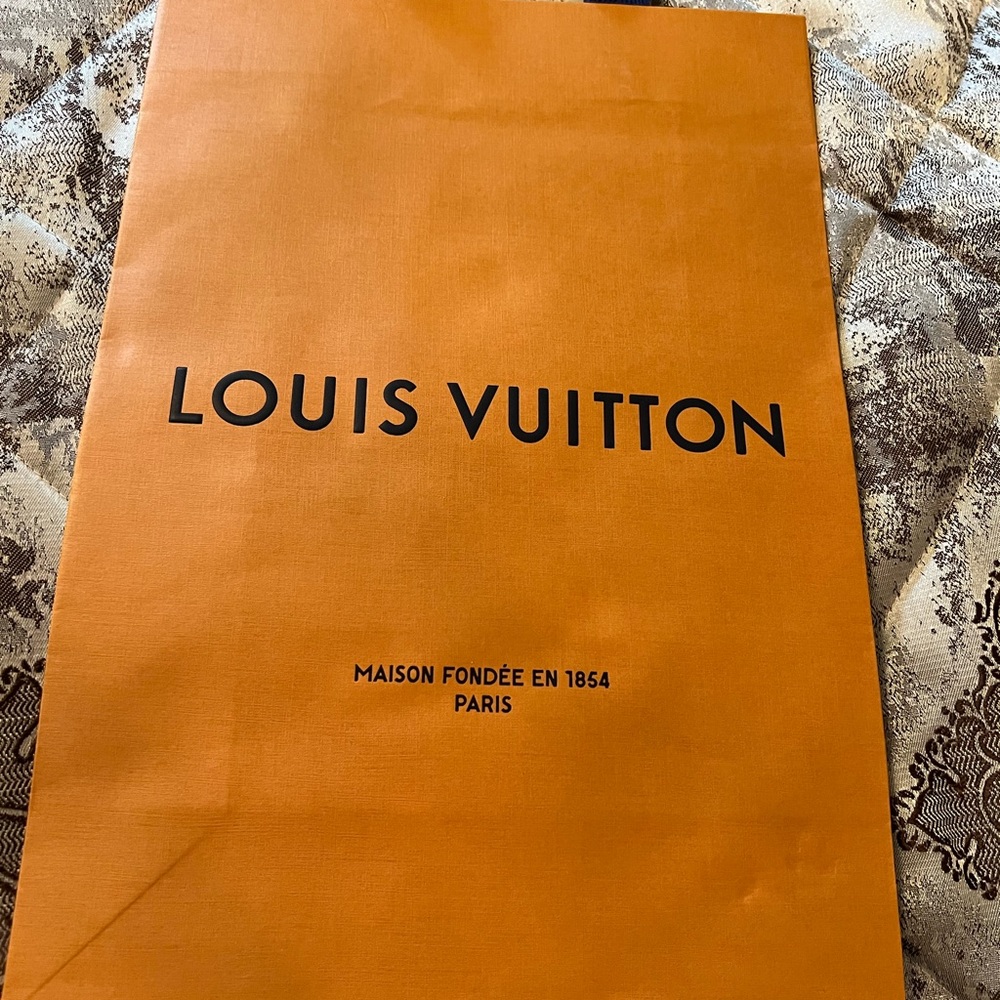 Brand  New Louis Vuitton Paper bag